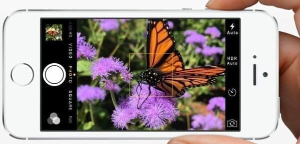 Save time taking a landscape picture of a butterfly by using the volume button on iPhone