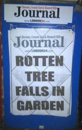 Newspaper in newsstand with headline rotten tree falls in garden