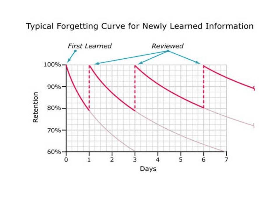 Forgetting Curve for Newly Learned Information