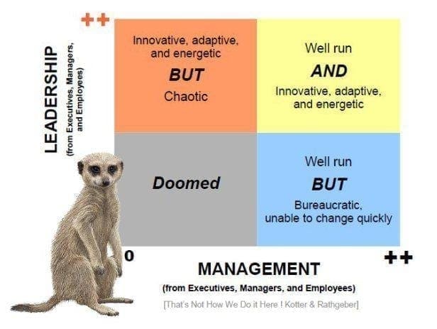 A leadership and Management infographic Leadership vs Management Infographic