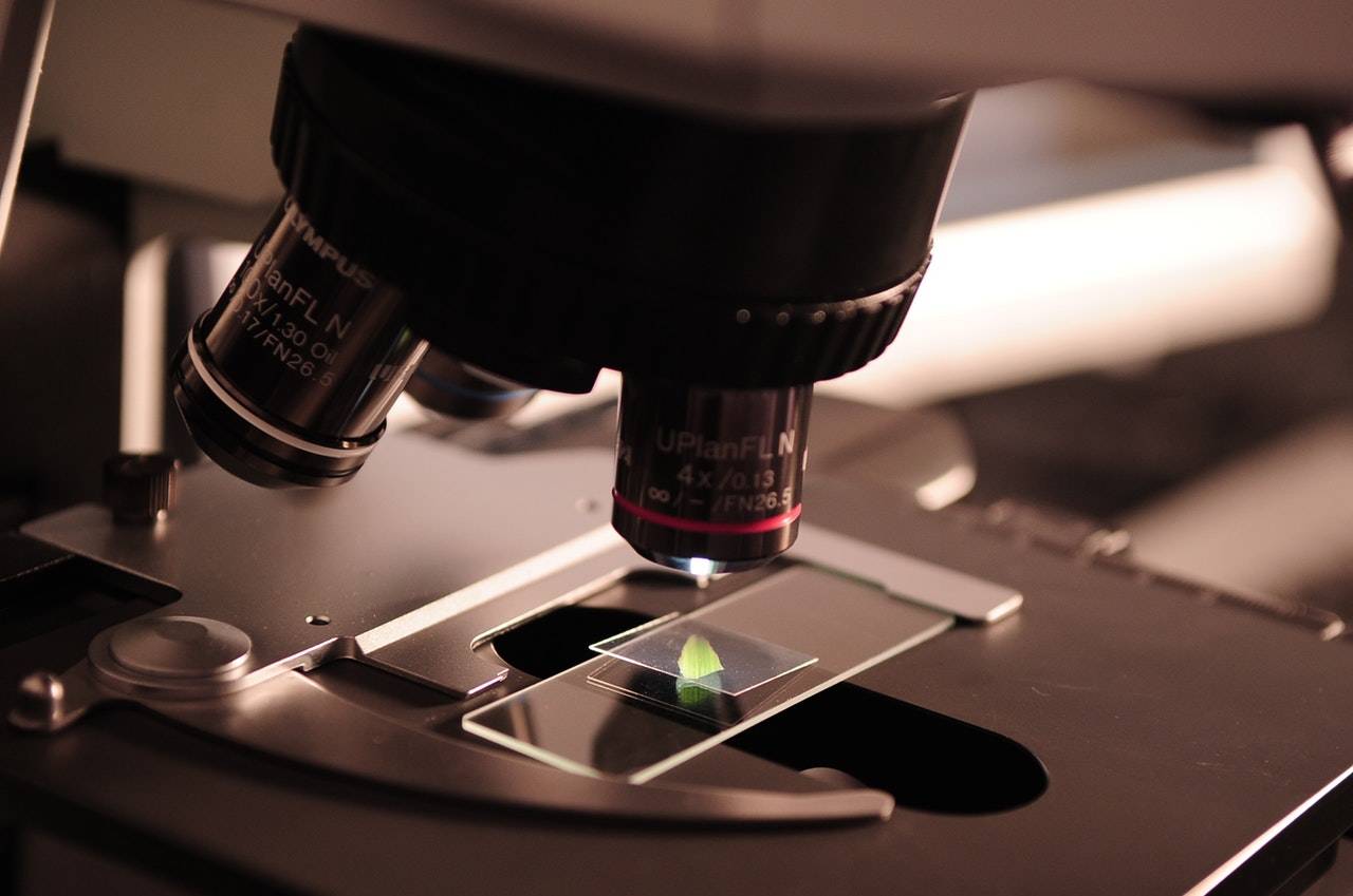 Microscope studying a slide Close-up of a specimen under a microscope getting investigated
