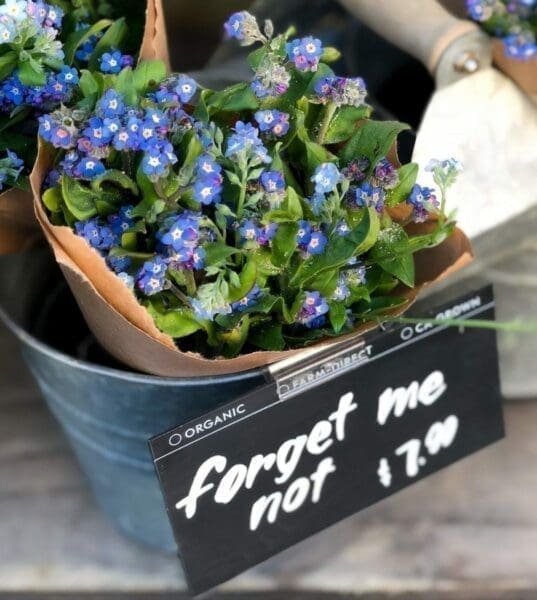 Bouquet of organic forget me not flowers for sale
