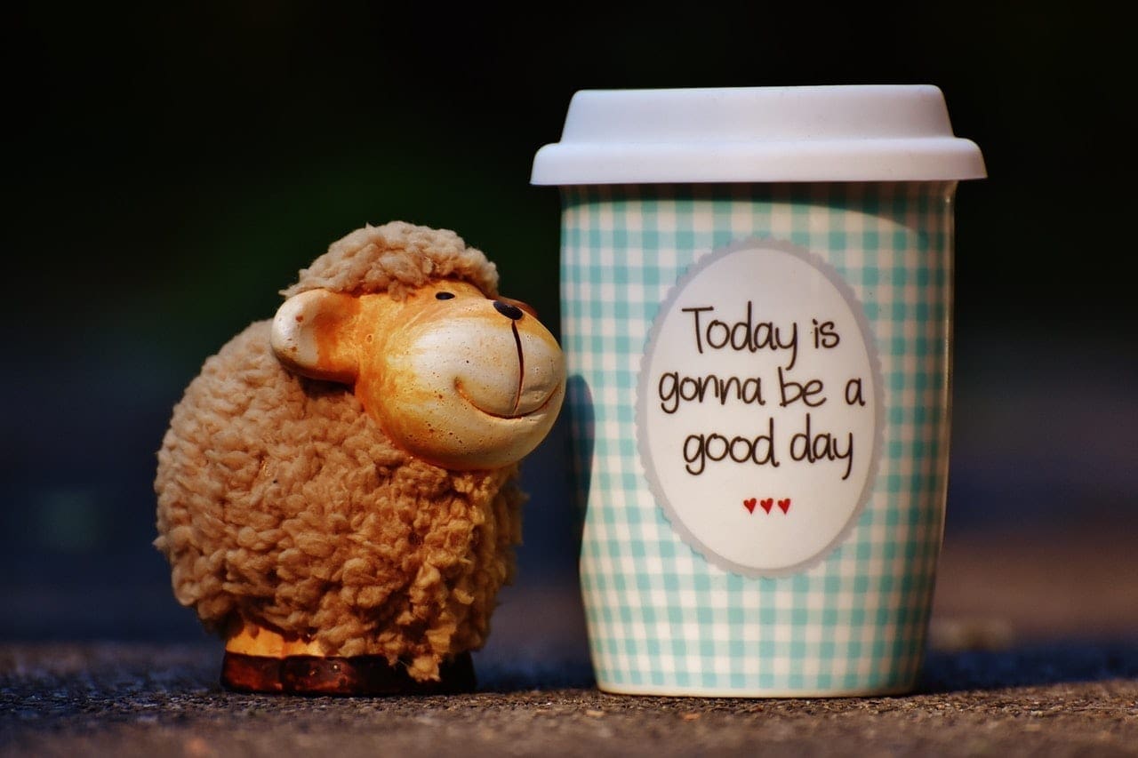 Today is gonna be a good day travel cup A travel cup with 'Today is gonna be a good day' beside a toy sheep represents positivity for workplace mental health
