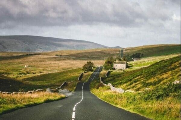 Country road with green fields on both sides