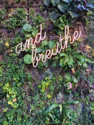 'and breathe' written in fancy italic writing with vine overgrown wall in the background