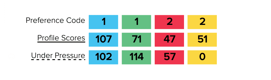 HBDI profile showing Preference Code, Adjective Pairs, and Profile Scores for HBDI psychometric test