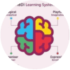 HBDI brain colours graphic