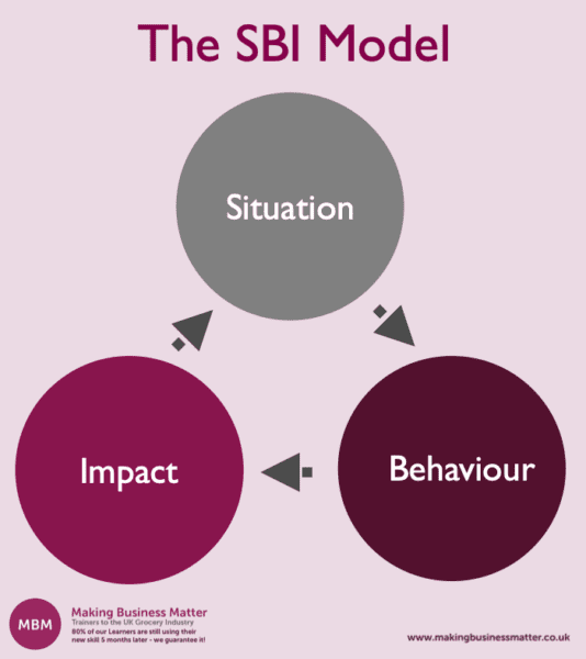 Purple circle diagram of the SBI Feedback model