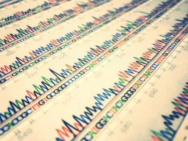 Multi coloured sequence graphs