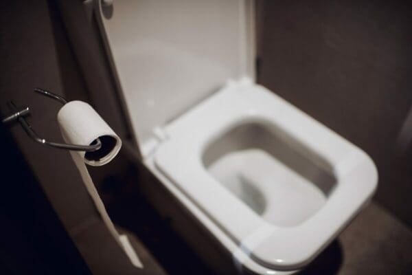 Close-up of toilet roll above a toilet in a cubicle