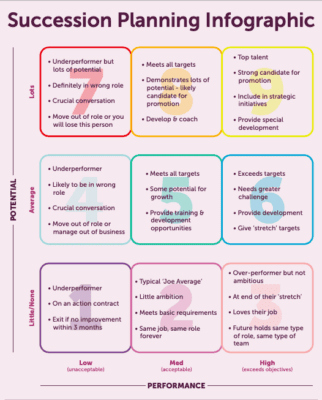 infographic explaining Succession planning using potential and performance metrics with coloured boxes