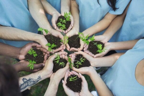 Several hands with sprouting plants show growth