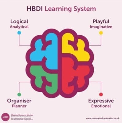 Coloured brain has four sections representing the HBDI model with logical, playful, organiser, and expressive by MBM