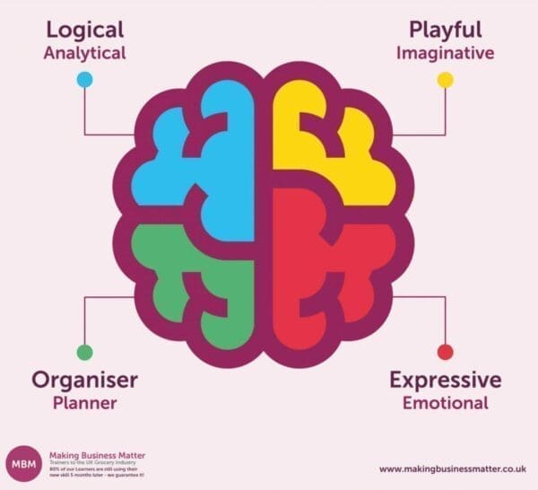 Cartoon brain split into four colours for the HBDI model with the labels logical, organiser, playful, and expressive