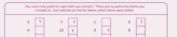 Screenshot of Questionnaire for learning styles