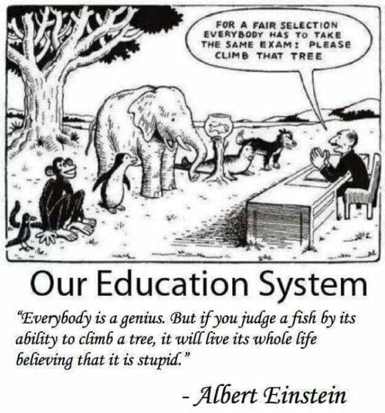Einstein cartoon black and white cartoon depicting a series of animals and a quote underneath