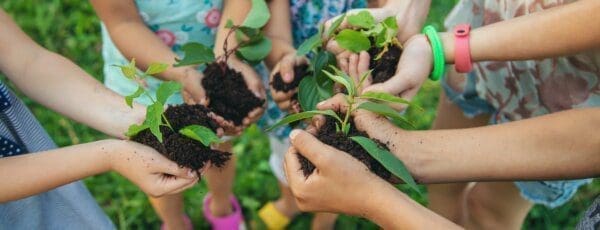 Hands golding growing plants