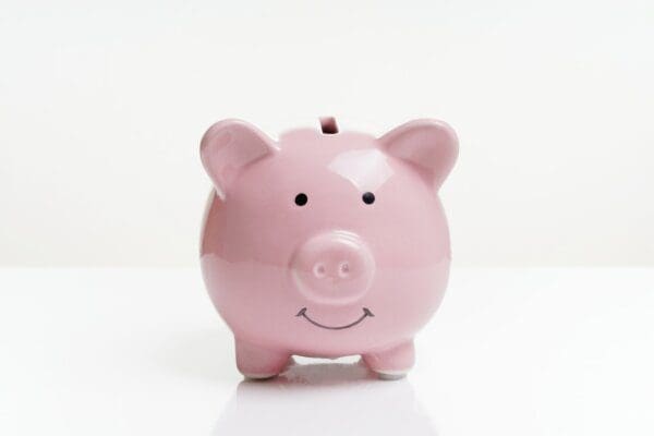 pink piggy bank piggybank on white background