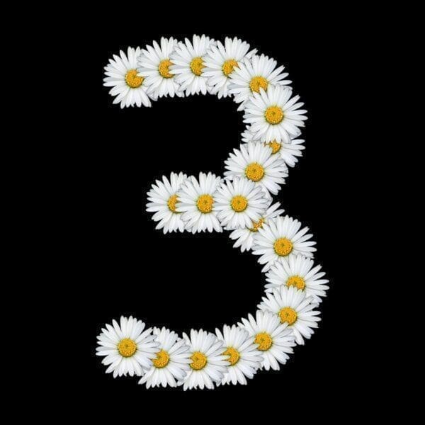 Number three Number 3 made of white daisies on a black background