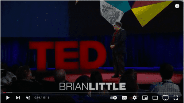 Links you YouTube TED Talk video with Brian Little on the puzzle of personality