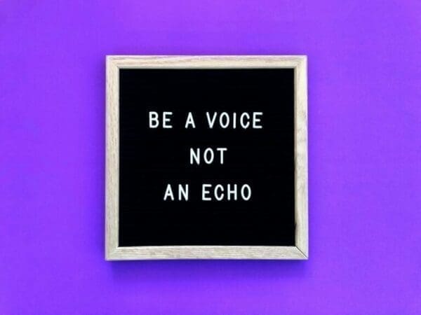 Be a voice quote Be a voice, not an echo quote on felt board on purple background for Presentation Skills Examples