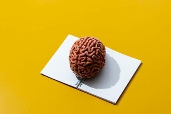 smart Brain on an open notebook on yellow background represents smart