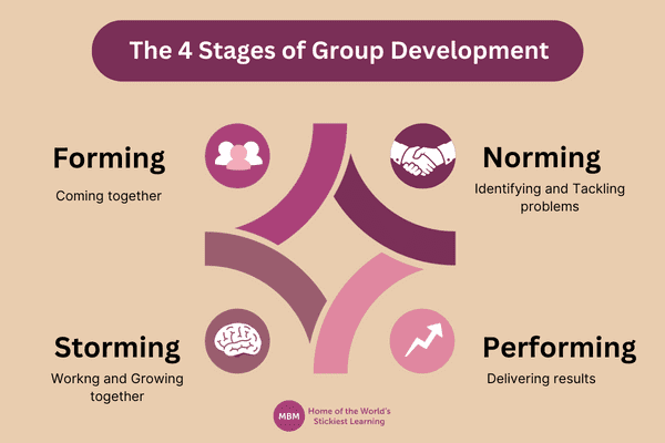 4 Stages of Group Development Purple infographic of the 4 Stages of Group Development