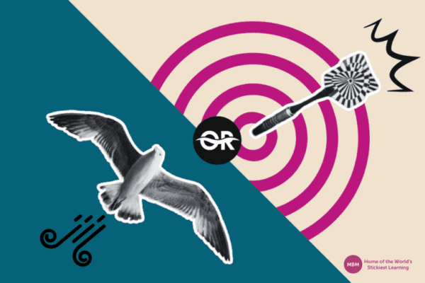 wings of bird and bullseye target wings of bird and bullseye target represents Leadership and Management Styles blog post image