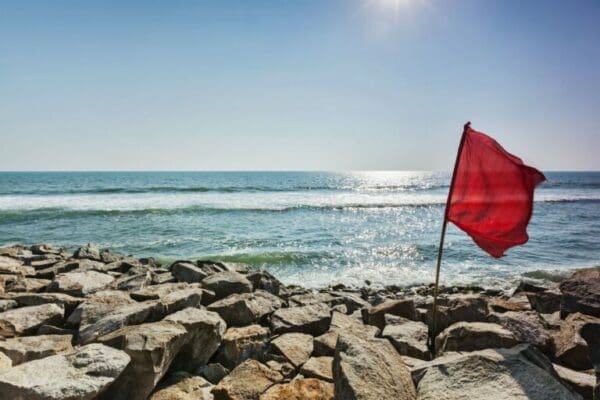 Red flag on rocky beach representing warning signs to improve for success