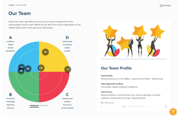 Team Profile graphic with HBDI circle and cartoon team