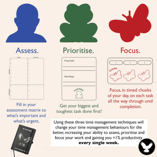 Assess, Prioritise and Focus features for the Be Your Eagle Daily Planner