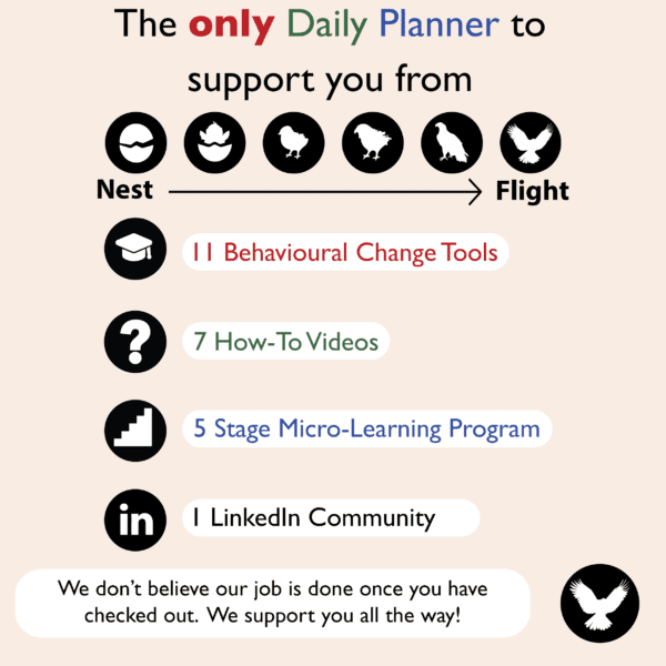 Infographic showing the 6 stages of an eagle and the 4 ways in which the planner company supports you.