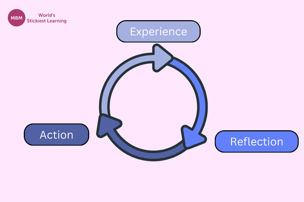 ERA Reflective Cycle