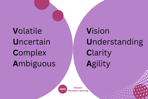 infographic showing vuca and opposite solution