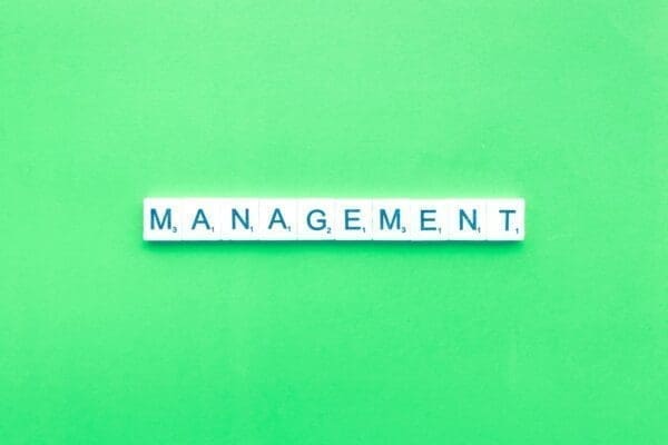 management word spelled on green background