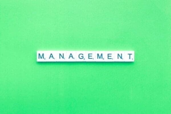 management word spelled on green background