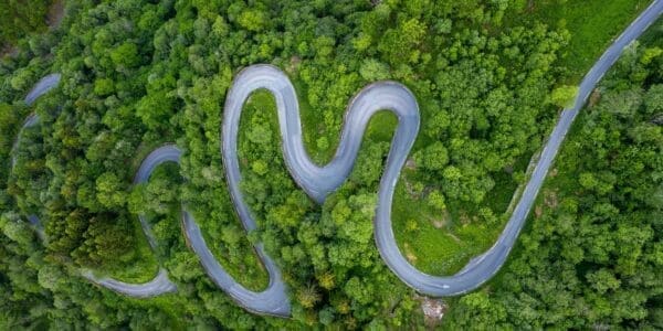 Long Winding Road with green trees Long Winding Road with green trees