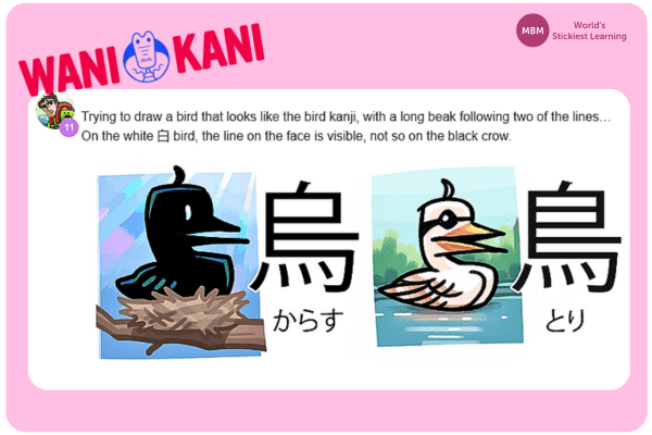 Wanikani user using drawing mnemonic Wanikani user using drawing mnemonic to learn bird kanji for great learning