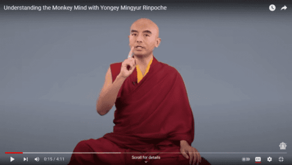 Monk explaining Monkey Mind Youtube video Monk explaining Monkey Mind Youtube video