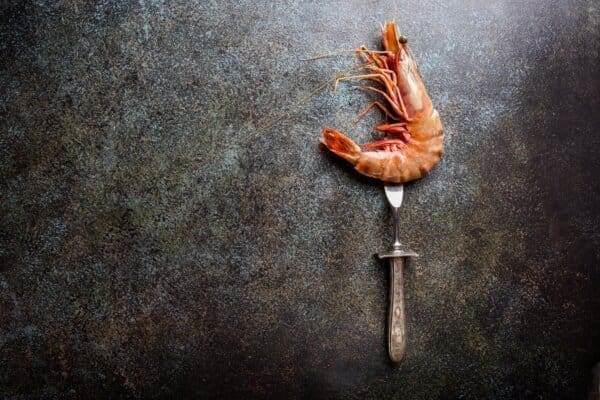 Raw fresh Tiger Prawn on a fork