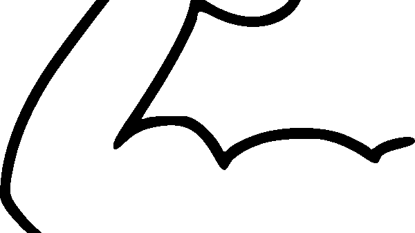 line drawing of a bicep