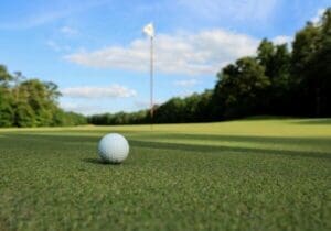 golf ball laying on a golf course